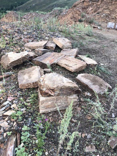 Пошаговая дорожка из плит златолит кора дерева купить в Пензе